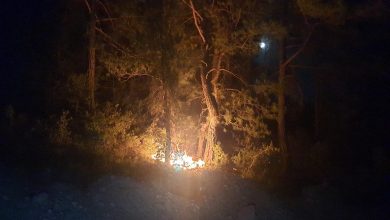 Adana Feke'deki orman yangınlarıyla ilgili 1 şüpheli tutuklandı