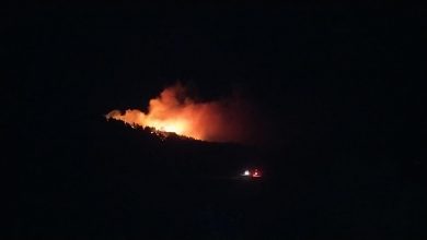 Adana'da ormanlık alanda yangın: Müdahale sürüyor
