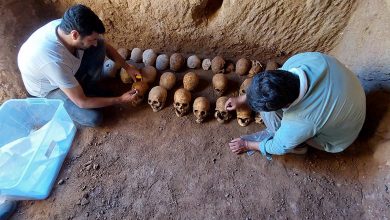 Adıyaman'da 1600 yıllık 27 insan iskeleti bulundu