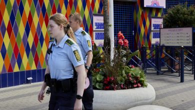 Danimarka'da lunaparkta kaza: Bir çocuk öldü