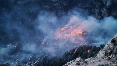 Mersin'de iki gün önce başlayan orman yangınını söndürme çalışmaları sürüyor