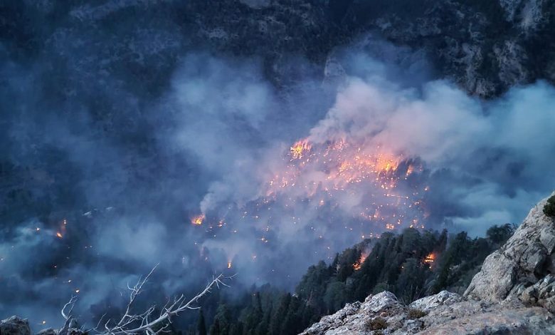 Mersin'de iki gün önce başlayan orman yangınını söndürme çalışmaları sürüyor