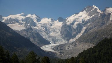 İsviçre Alplerindeki buzullar, 1931'den bu yana yarı yarıya eridi