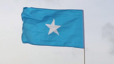 Afrika Birliği: Somali ülke güvenliğini devralacak yeterliliğe sahip