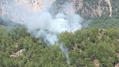 Fethiye'de orman yangını: Havadan ve karadan müdahale başlatıldı
