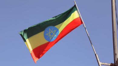 Etiyopya heyeti 2 yıl sonra ilk kez Tigray'a gidiyor