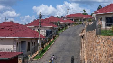 İngiltere'de Yüksek Mahkeme, göçmenleri Ruanda'ya gönderme planına itirazı kabul etti