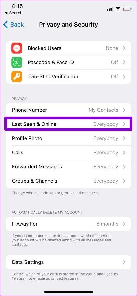 i Phone için Telegram'da Son Görülme Çevrimiçi Ayarları
