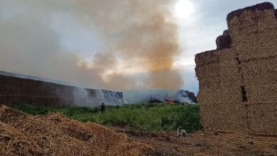 Adana'da saman balyalarının istiflendiği alanda yangın