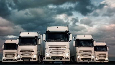 Güvenilir Taşımacılığın Adresi: Tanrıverdi Nakliyat Güvenilir Taşımacılığın Adresi: Tanrıverdi Nakliyat