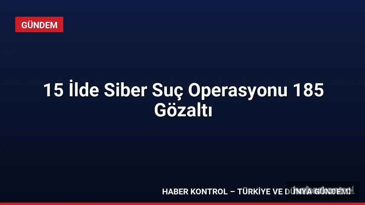 15 İlde Siber Suç Operasyonu 185 Gözaltı