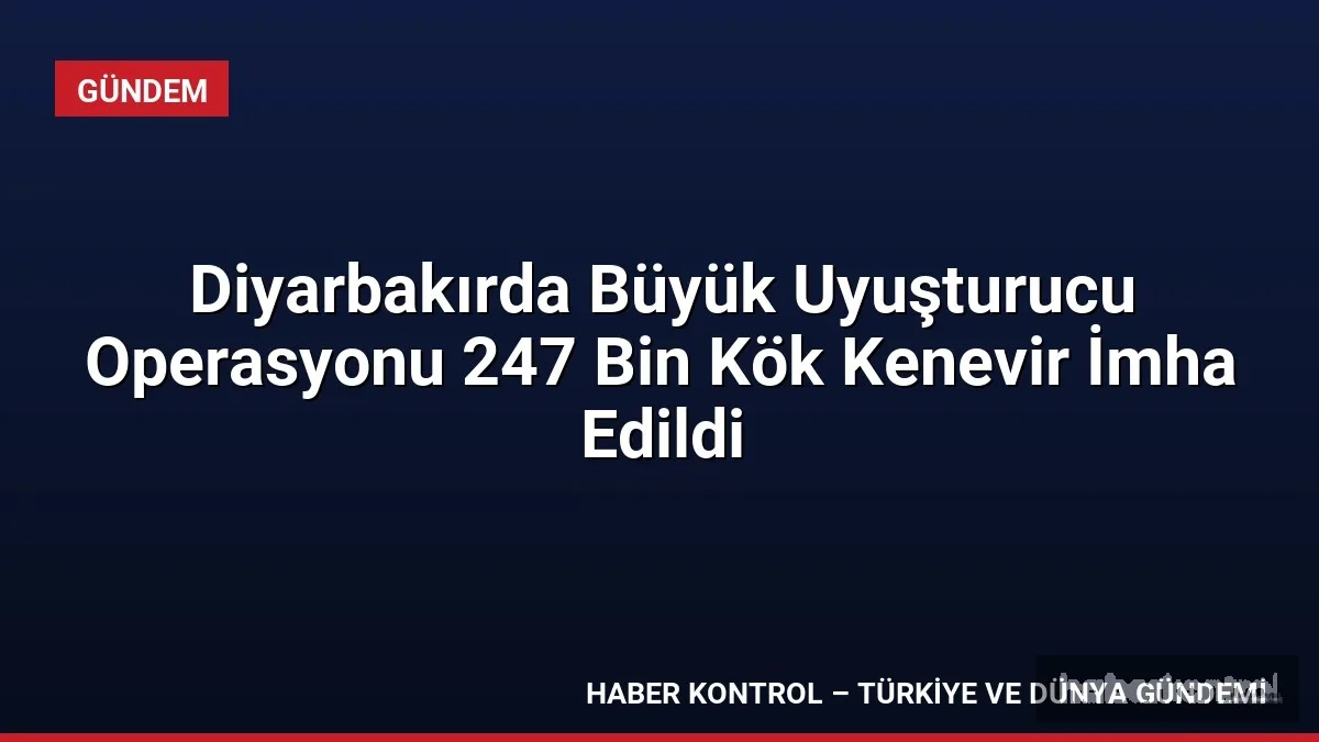 Diyarbakırda Büyük Uyuşturucu Operasyonu 247 Bin Kök Kenevir İmha Edildi